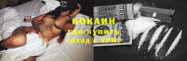 гидра Белокуриха
