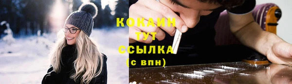 гидра Белокуриха
