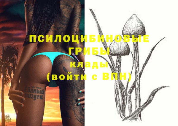 гидра Белокуриха