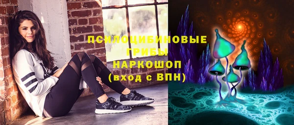 гидра Белокуриха