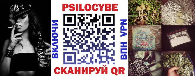 купить наркоту  Короча  Галлюциногенные грибы Psilocybine cubensis 